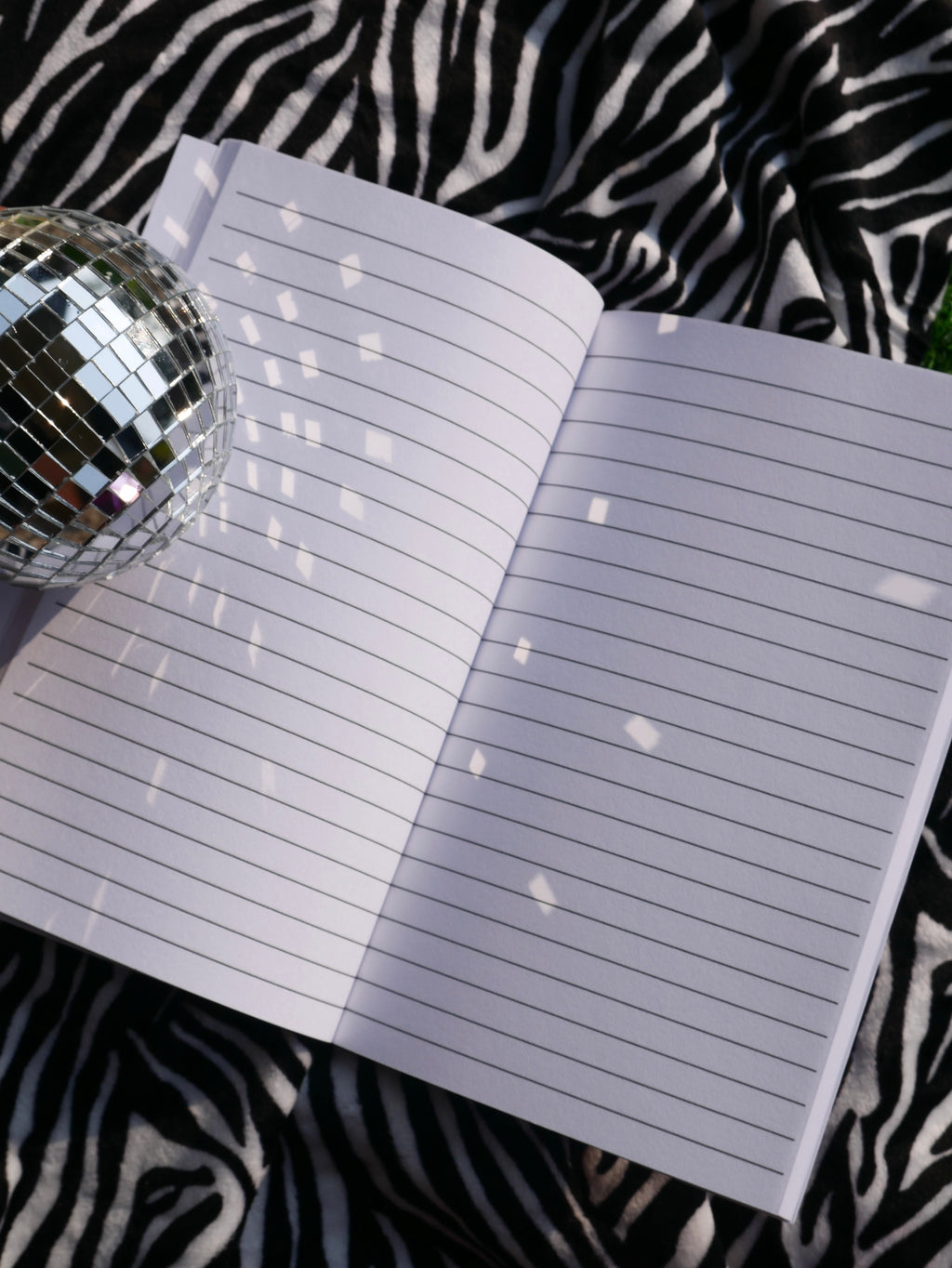 Detroit Girls Are Just Better Notebook